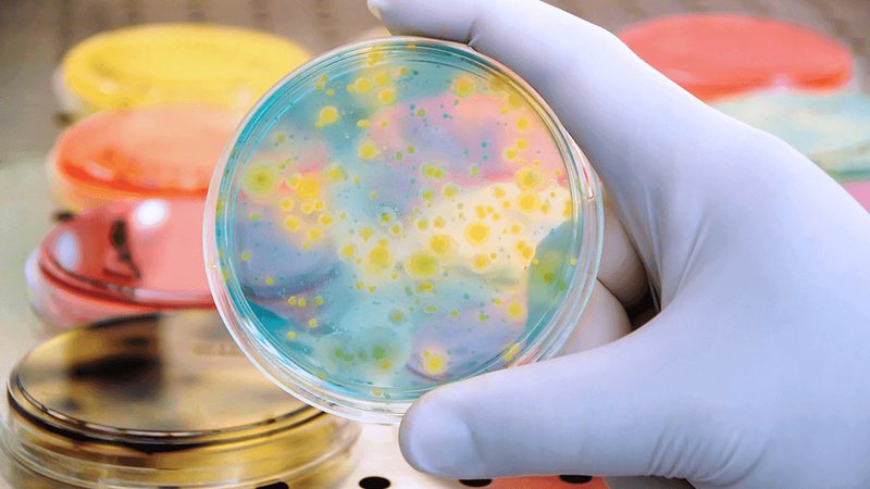 细胞培养基配制：揭秘生物科技研发的“生命之源”**