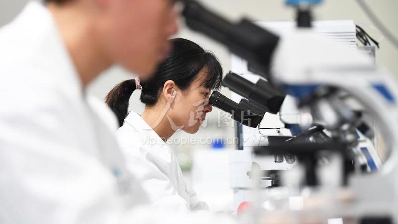 在投资生物科技上市公司龙头股时，投资者应关注以下建议：