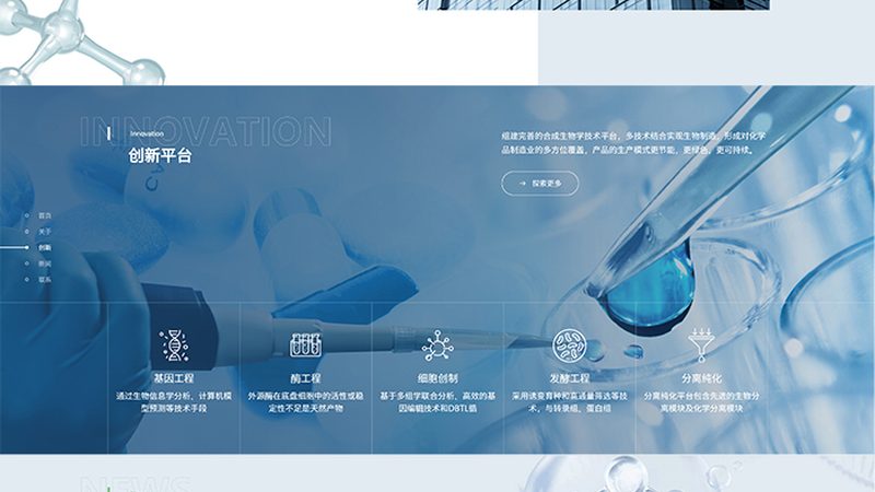 饲料用耐高温酶：如何选择合适的型号？**