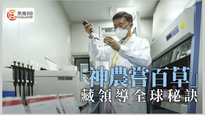 临床期CDMO项目报价，你了解多少？**
