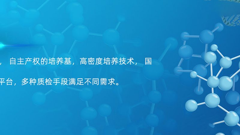CDMO中试放大收费标准：揭秘其背后的考量因素