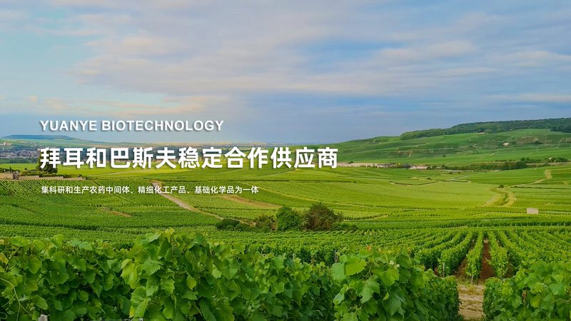 细胞治疗产品申报指南：FDA与国内NMPA的异同解析