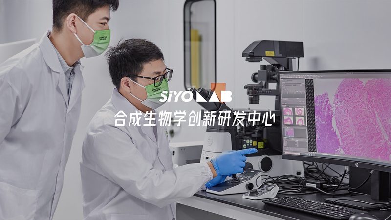 细胞工厂定制：揭秘定制化服务的关键要素**