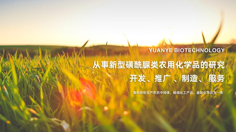 苏州生物医药产业园：医疗器械企业入驻的黄金门槛**