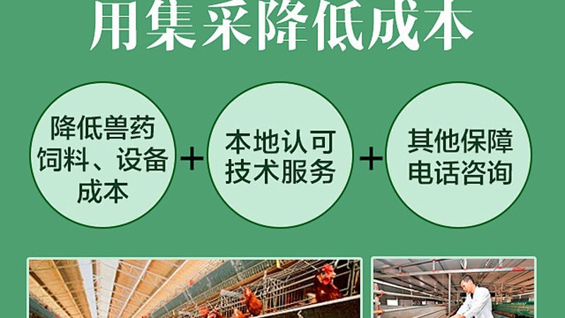 新生儿基因筛查报告，如何准确解读？**