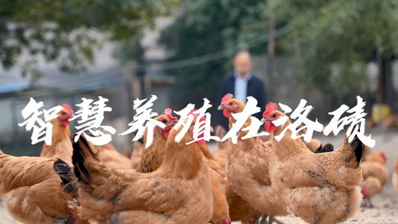 医药外包行业：如何选择可靠的合作伙伴**