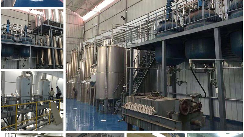 细胞培养基定制：解锁细胞培养的精准配方**