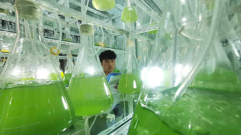 引物合成质量不合格可能是由于多种原因造成的，以下是一些常见的原因：